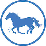 Horse Joint Support Icon - Postbiotics